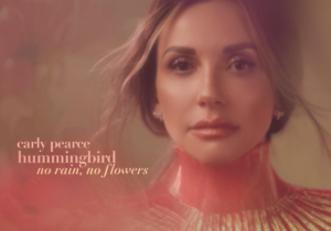 [ALBUM] Carly Pearce - hummingbird: no rain, no flowers (deluxe) (ZIP)